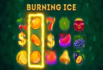 Burning ice