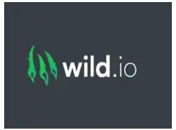 Wild Casino